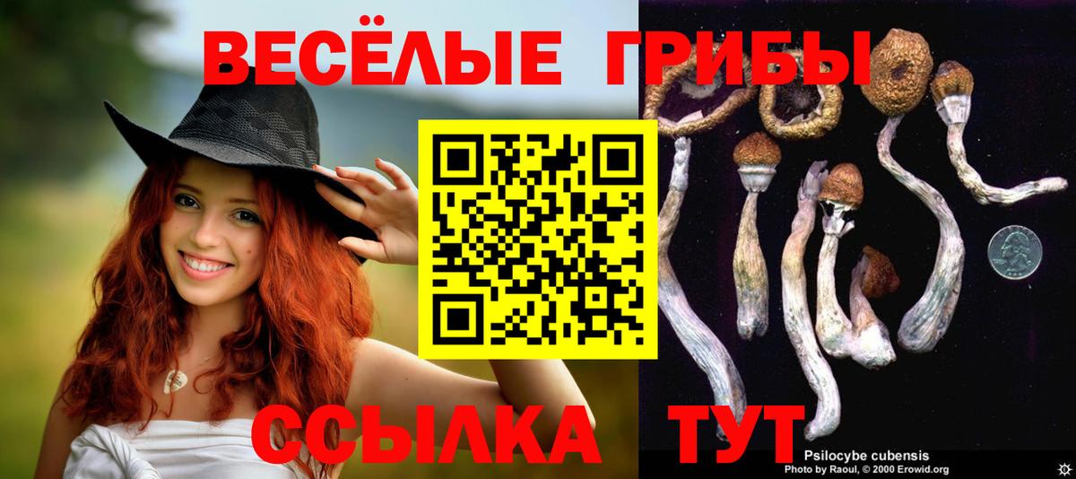 Галлюциногенные грибы GOLDEN TEACHER  цены   Вход с VPN  Комсомольск-на-Амуре  Галлюциногенные грибы прущие грибы 